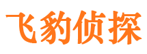 郑州外遇出轨调查取证